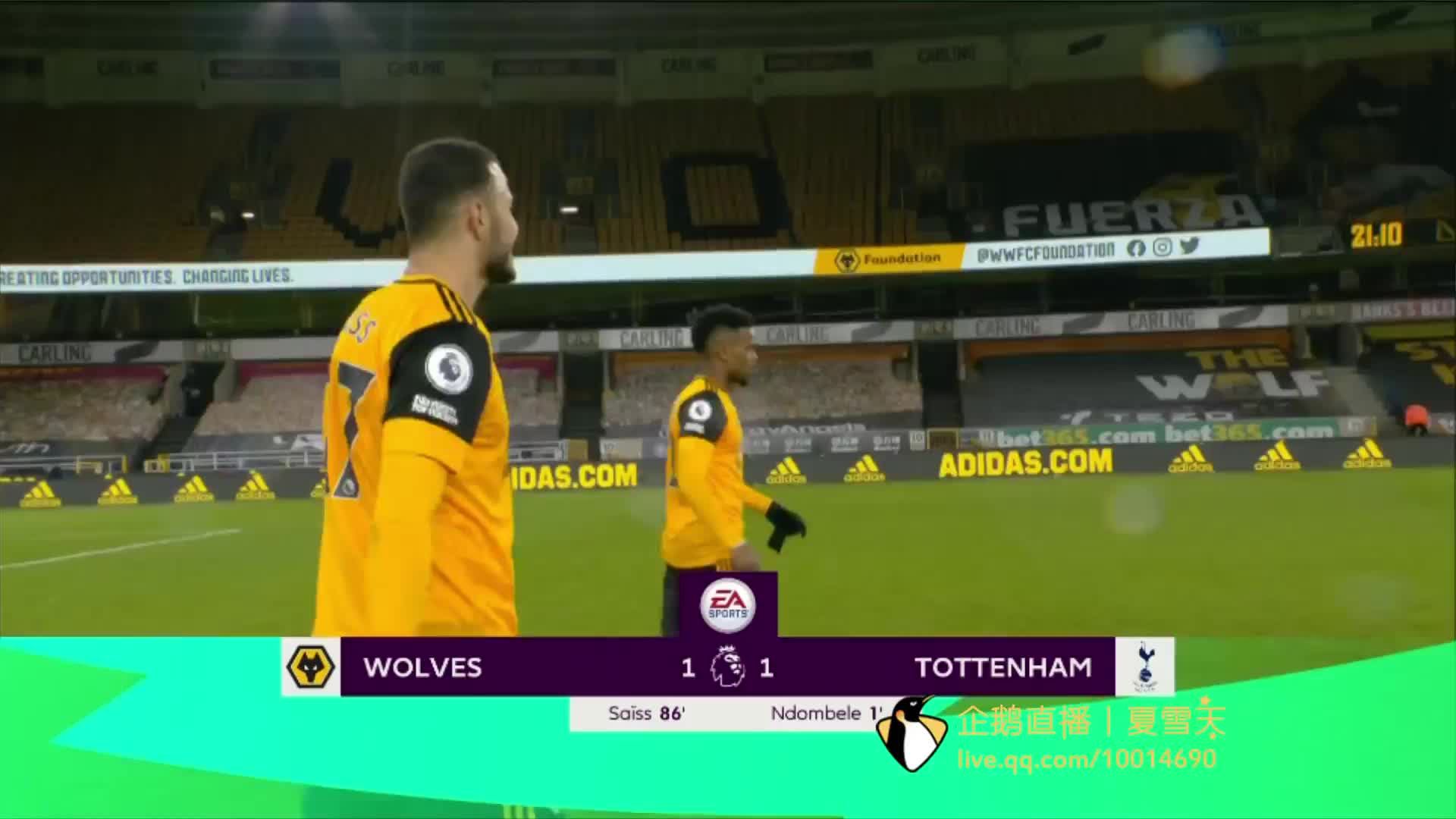 不同地区莎 不同地区莎